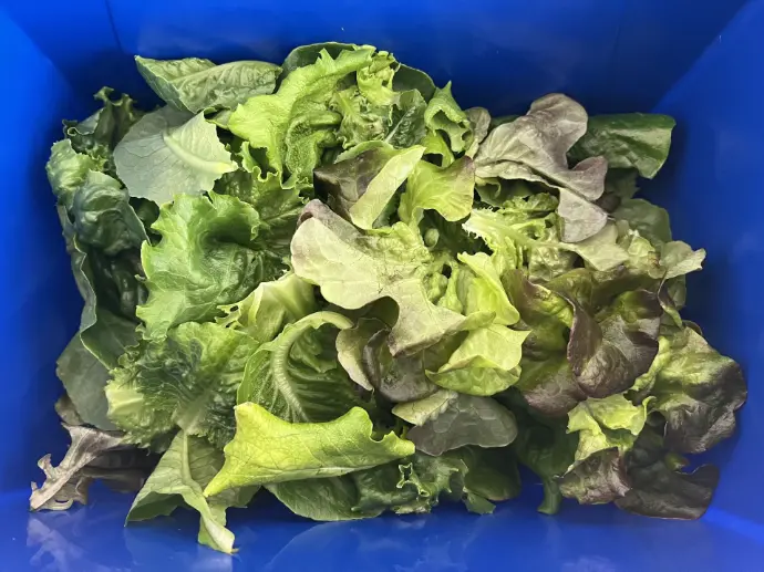 Loose Leaf Salad Mix (4oz Pack)